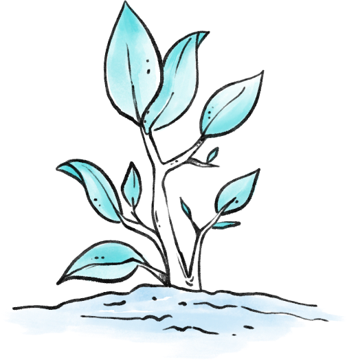 Let’s Grow Your Business